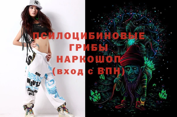 прущие грибы Балабаново