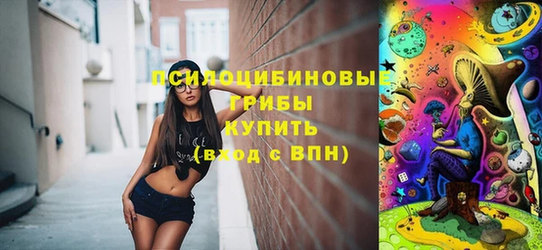 прущие грибы Балабаново
