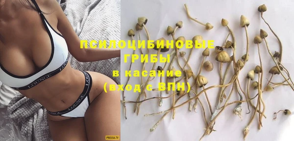 прущие грибы Балабаново